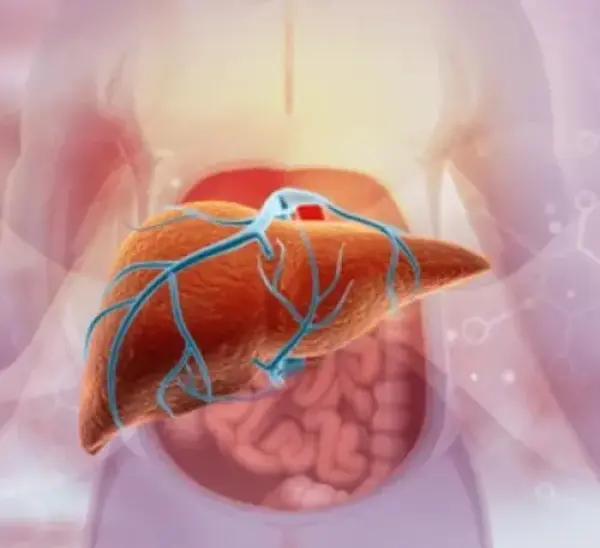 Votre foie, ce héros silencieux : pourquoi en prendre soin est essentiel